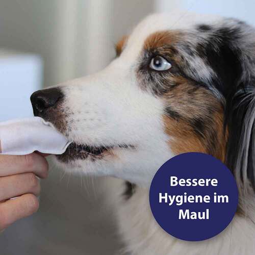 Canosept Zahnpflege Finger-Pads f&uuml;r Hunde - 2