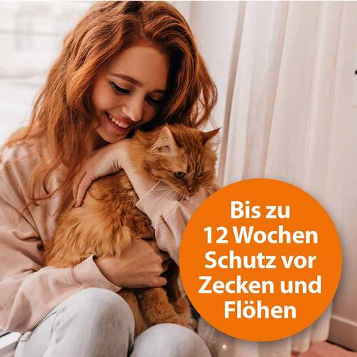 Ardap Spot-On f&uuml;r gro&szlig;e Katzen &uuml;ber 4 kg - 4