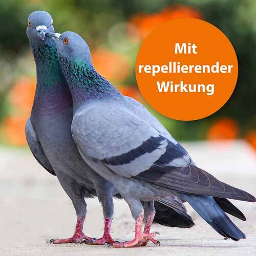Ardap Spot-On f&uuml;r Zierv&ouml;gel und Brieftauben - 3