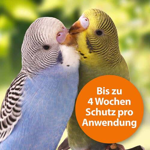 Ardap Spot-On f&uuml;r Zierv&ouml;gel und Brieftauben - 4