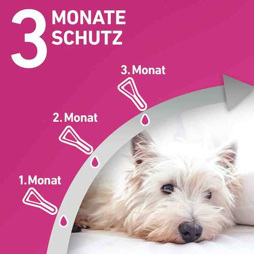 FRONTLINE TRI-ACT® gegen Zecke, Floh und fliegende Insekten bei Hunden (2-5kg) - 4