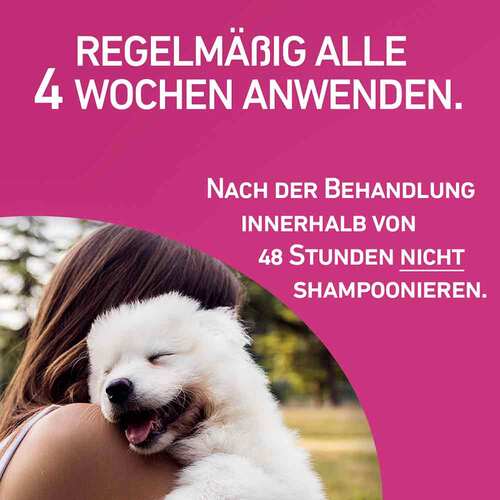 FRONTLINE TRI-ACT® gegen Zecke, Floh und fliegende Insekten bei Hunden (2-5kg) - 5