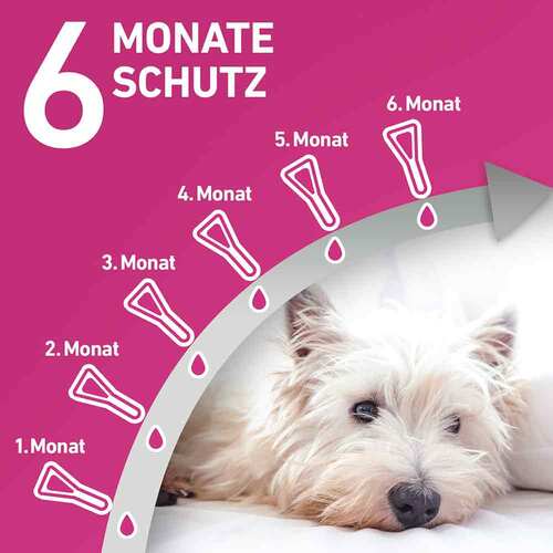 FRONTLINE TRI-ACT® gegen Zecke, Floh und fliegende Insekten bei Hunden (40-60kg) - 4