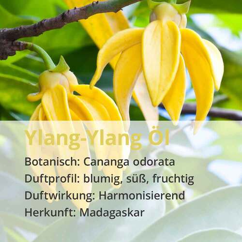 Ylang Ylang &Ouml;l naturrein &auml;therisch - 4