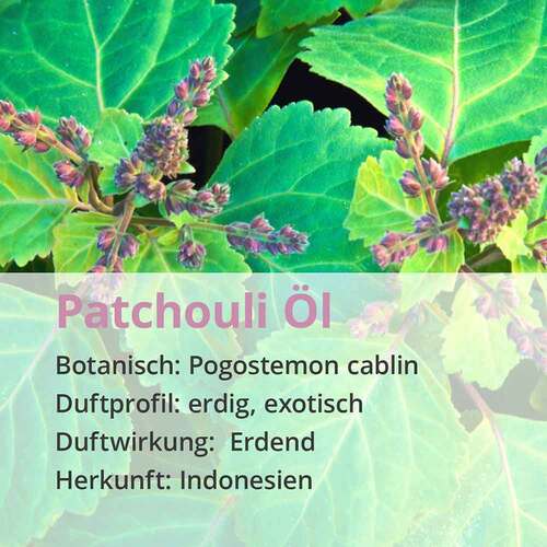 Patchouli &Ouml;l naturrein &auml;therisch - 4