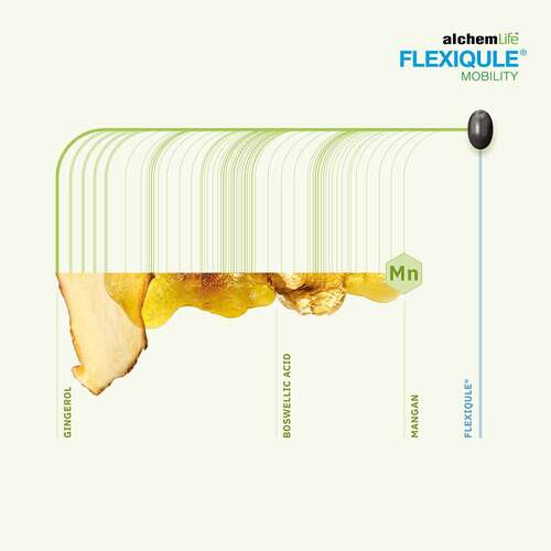 Flexiqule Mobility Kapseln - 3