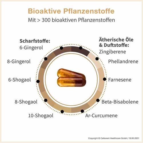 Gingerin Plus Kapseln - 5