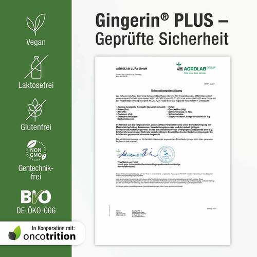 Gingerin Plus Kapseln - 7