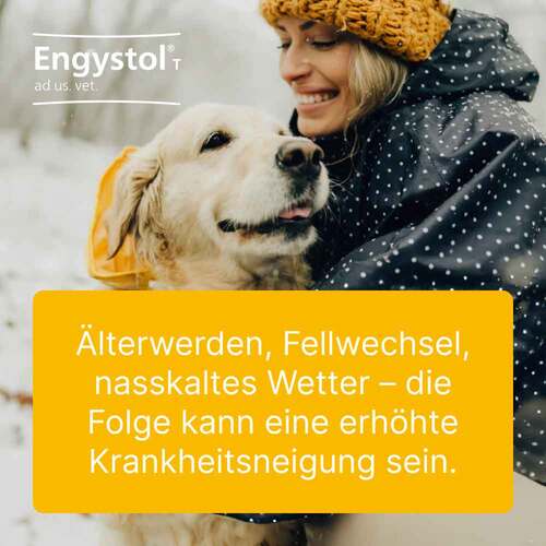 Engystol® ad us. vet. Tabletten - 2