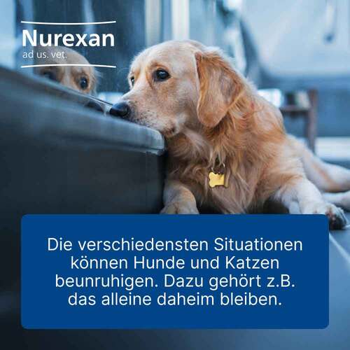 Nurexan ad us. vet. Tabletten  - 2