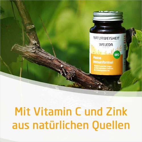 Weleda Naturweisheit Meine Immunformel Kapseln - 2