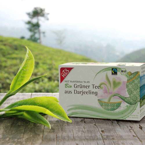 H&S Bio Grüner Tee aus Darjeeling Filterbeutel - 3