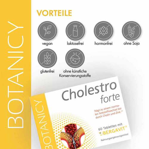 Botanicy Cholestro forte mit Bergavit Tabletten - 4