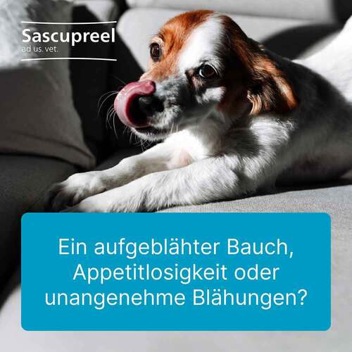 Sascupreel ad us.vet.Ampullen - 3