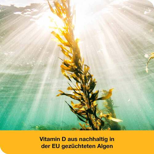 Vitamin D-Loges 7.000 I.E. pflanzlich Wochendepot - 6