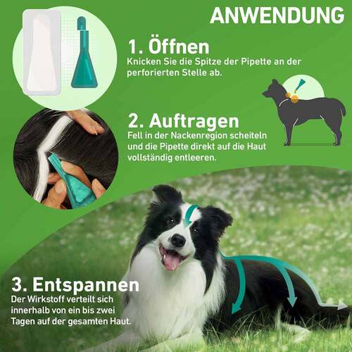 FRONTLINE COMBO® gegen Zecken, Fl&ouml;he bei Hunden S (2 -10 kg) - 3