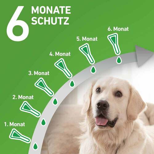 FRONTLINE COMBO® gegen Zecken, Fl&ouml;he bei Hunden S (2 -10 kg) - 4