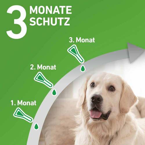 FRONTLINE COMBO® gegen Zecken, Fl&ouml;he bei Hunden M (10-20 kg) - 4