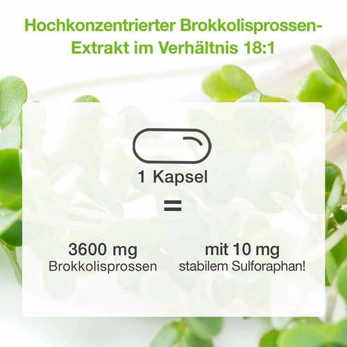 Brassica Plus Kapseln - 4