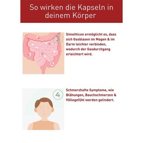 N1 Reizdarm-Syndrom Kapseln - 6