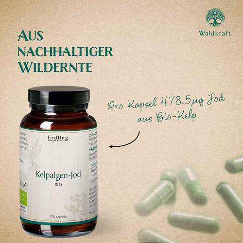 Kelpalgen-Jod Bio Kapseln Erdling - 5