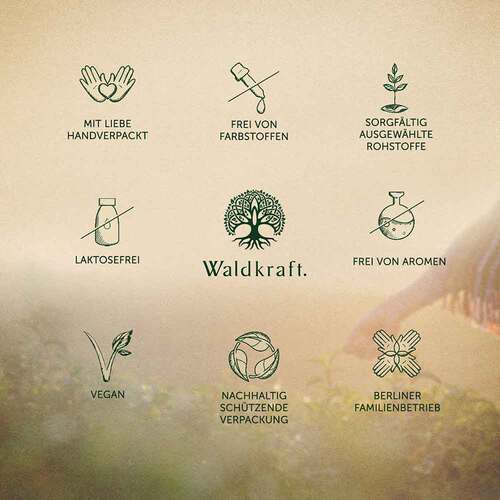 Kelpalgen-Jod Bio Kapseln Erdling - 6