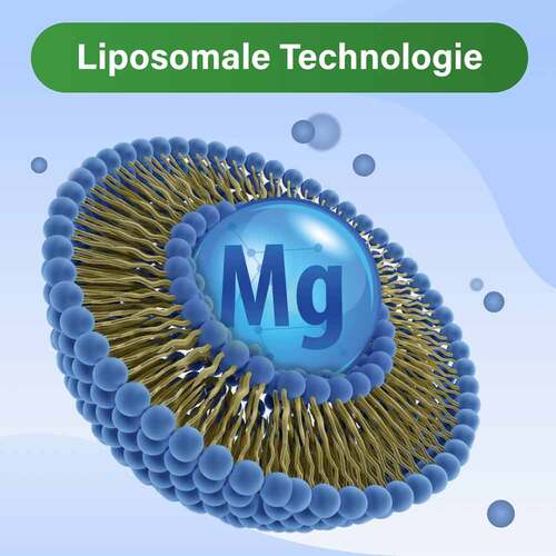 Glycowohl vital liposomales Magnesium hochdosiert Kapseln  - 3
