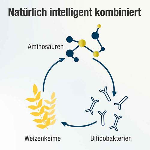 Spermidin Plus Kapseln - 6