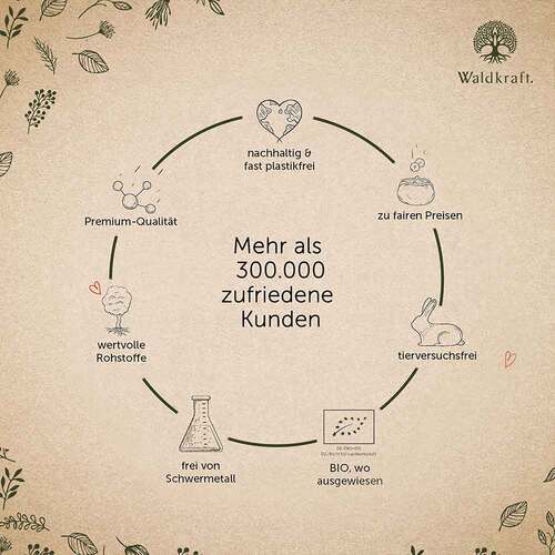 Lungenkraut Komplex MSM NAC vegan Kapseln Erdling - 6