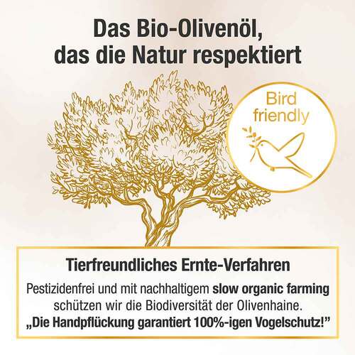 Oliv Plus high phenolic Bio Olivenöl - 5
