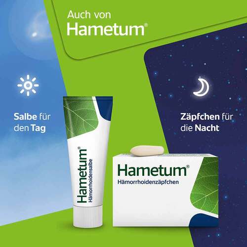 Hametum Reinigungsschaum - 6