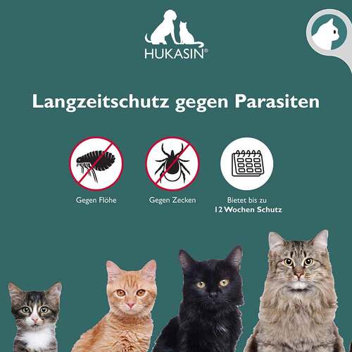 Hukasin Spot-on Zecken- und Flohschutz Ampulle f&uuml;r Katzen - 4