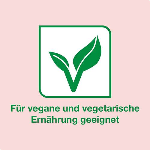 Vitamin B12-Loges 500 µg Kapseln - 2