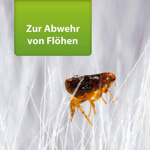 Ardap Repell Flohspray - 2