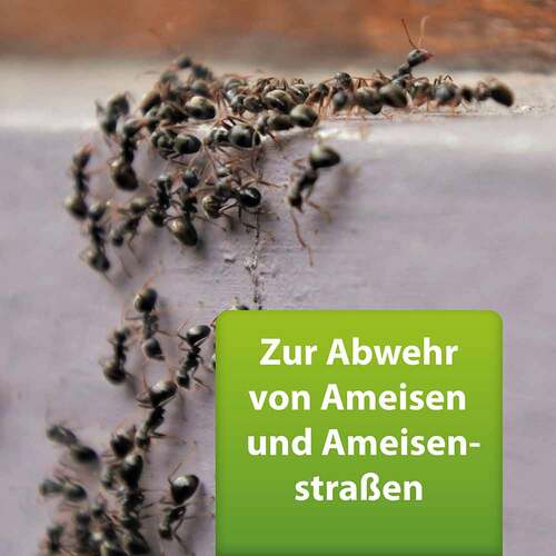 Ardap Repell Ameisenspray - 2