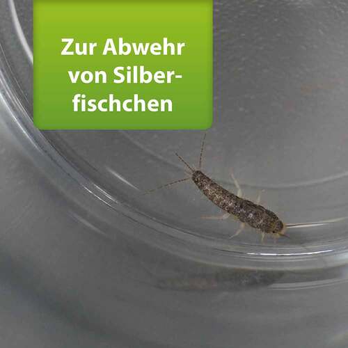 Ardap Repell Silberfischchen Spray - 2