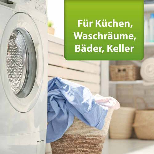 Ardap Repell Silberfischchen Spray - 3
