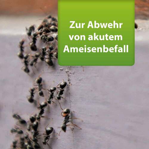Ardap Repell Ameisenmittel Granulat - 2