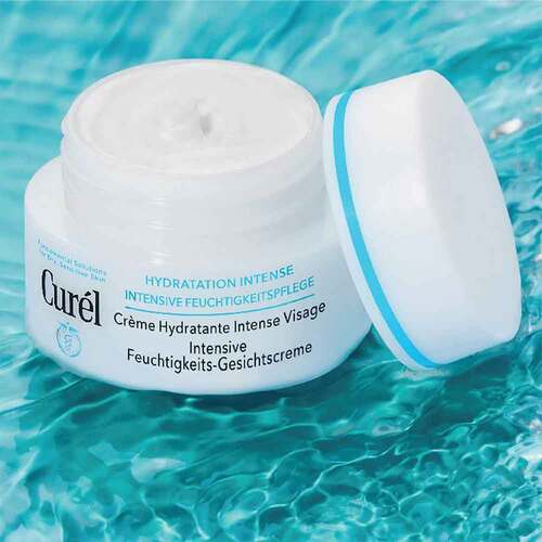 Curel intensive Feuchtigkeits-Gesichtscreme - 3