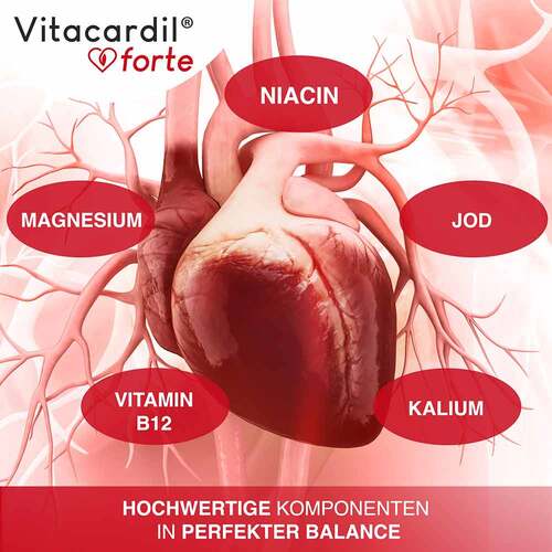 Vitacardil Forte mit Thiamin Kapseln  - 5