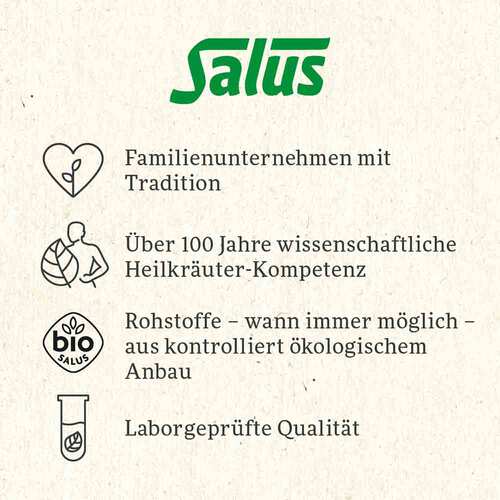 Salus Feliz navidad Bio Filterbeutel - 6