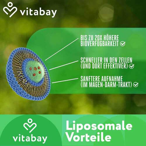 Liposomales Nad + 1000 mg + trans-Reveratrol 600 mg - 4