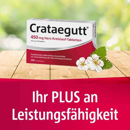Crataegutt 450 mg Herz-Kreislauf-Tabletten - 4