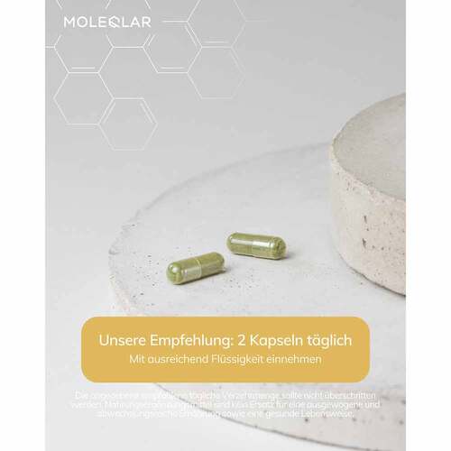 Moleqlar Spermidin Kapseln - 2