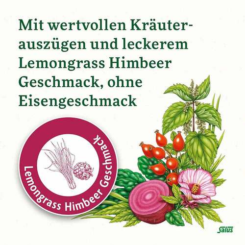 Salus Floradix Eisen Sticks Pulver - 3