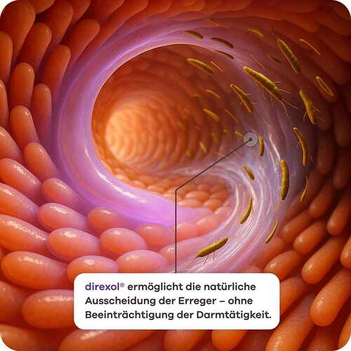 Direxol bei Durchfall Apriwell Hartkapseln - 6
