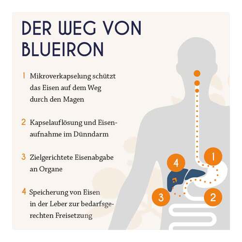 Blueiron Eisenkapseln - 4
