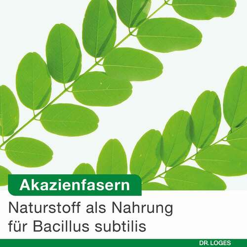 Bioticloges subtilis Kapseln - 5
