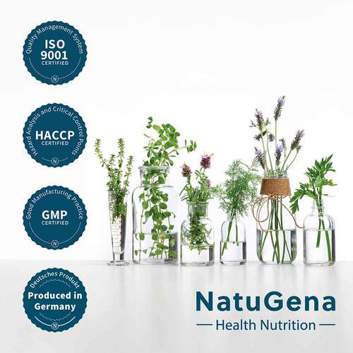 Roter Panax ginseng 20% Ginsenoside vegan Kapseln - 3