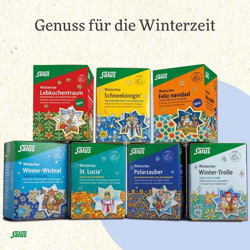 Polarzauber Fr&uuml;chte-Gew&uuml;rztee Bio Salus Filterbeutel  - 5